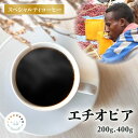 【 200/400g エチオピア ハブダム ナチュラル 】 スペシャルティコーヒー コーヒー豆 珈琲豆 高級 『豆・粉選べます』 送料無料 ふくろう珈琲 「手作業で選別」 敬老の日 お歳暮 プレゼント ギフト お試し