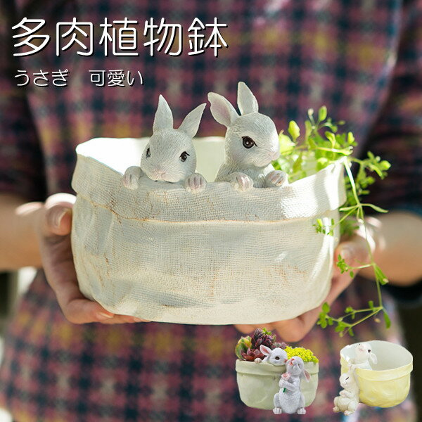 鉢 - 多肉植物鉢 植木鉢 プランター ミニ 多肉 苔 コケリウム 苔リウム 箱庭 鉢 可愛い 動物 おしゃれ サボテン 多肉植物 寄せ植え 置物 装飾用 装飾 インテリア かわいい 樹脂 テラリウム 容器 卓上 ガーデニング 母の日 ウサギの植木鉢 プレゼント