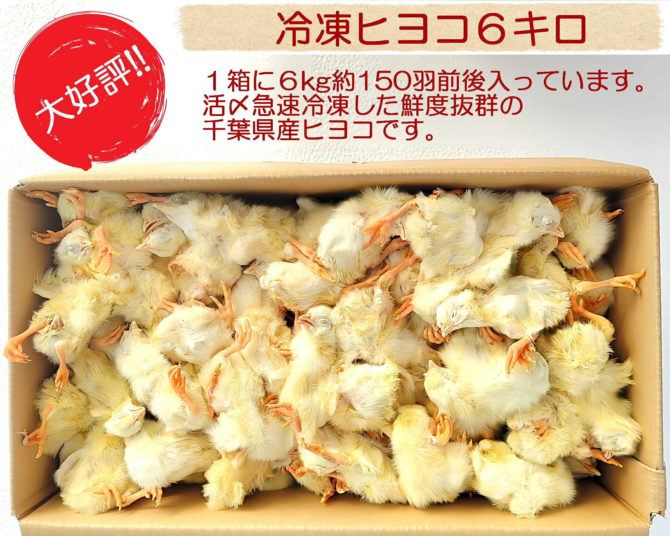 楽天市場】ひよこ 冷凍(エサ|鳥用品):ペット・ペットグッズ 楽天市場】ひよこ 冷凍(エサ|鳥用品):ペット・ペットグッズ