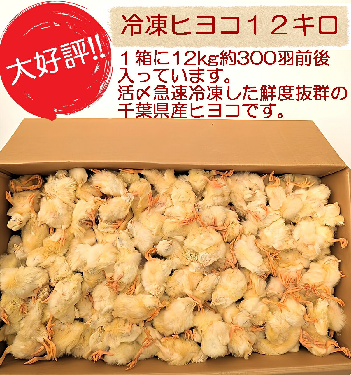 カットひよこ 2kg 約100羽分 冷凍ひよこ|ペット用品 カットひよこ 2kg 約100羽分 冷凍ひよこ|ペット用品