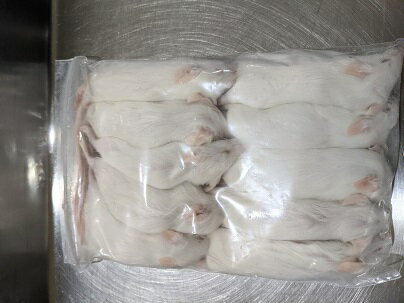 国産冷凍マウスアダルト