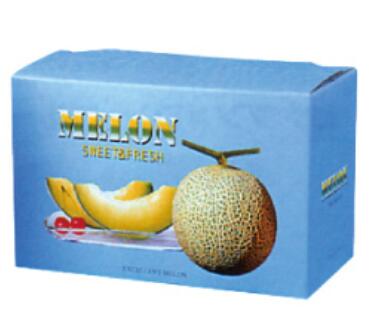 【大玉用】ビゲストメロン 2ヶ入 10枚 外寸:340×170×300(220) mm 台紙付 メロン箱 信和 大玉メロン 2個用 5玉サイズ 取っ手付 大玉 ...