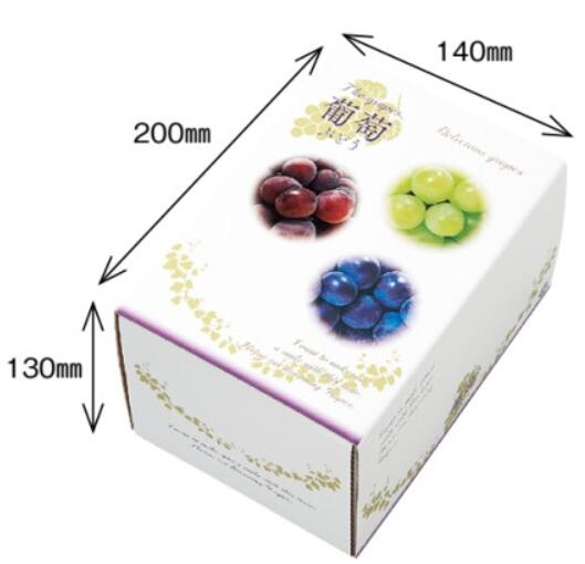 【10枚】3色ブドウ 1kg フルーツ箱 1束 10枚 横200×縦140×高130mm AA6763 蓋コの字型 紙 オリカ ぶどう 葡萄 フルーツボックス ...