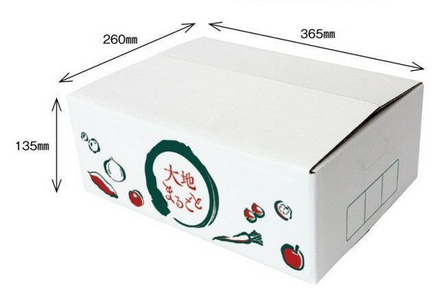 【10枚】大地まるごと 5kg 1束 10枚 内寸:260×365×高135mm 外寸:265×370×高145mm 紙 段ボール オリカ AC3003 野菜 ...