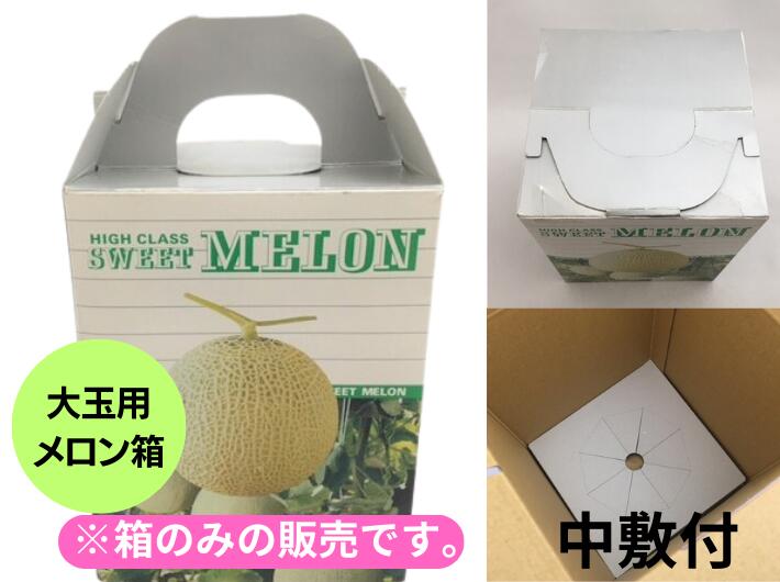 【大玉メロン用】エルメロン 1ケ入 台紙付 【10枚】メロン箱 信和 材質:コート紙 外寸:横170×縦170×高300(220)mm 大玉 取っ手 フラット ギフト ギフト箱 贈答 贈答箱 出荷 発送 テイクアウト 青果 果樹 箱 メロン用 メロンの箱 フルーツ用 フルーツギフト用 果物用