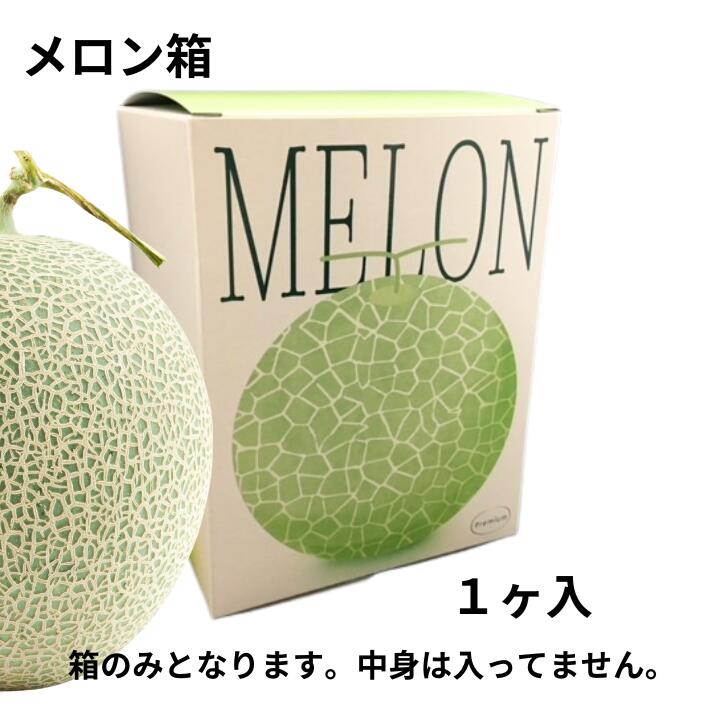 フレデリメロン 1ケ入 メロン箱 信和 【10枚】外寸:横150×縦150×高195mm ギフト ギフト箱 贈答 贈答箱 出荷 発送 取っ手なし テイクアウト ...
