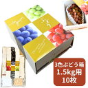 送料無料【10枚】3色ブドウ 1.5kg フルーツ箱 1束 10枚 内寸 横240×縦180×高130mm AA6763 蓋コの字型 紙 オリカ ぶどう 葡萄 ...