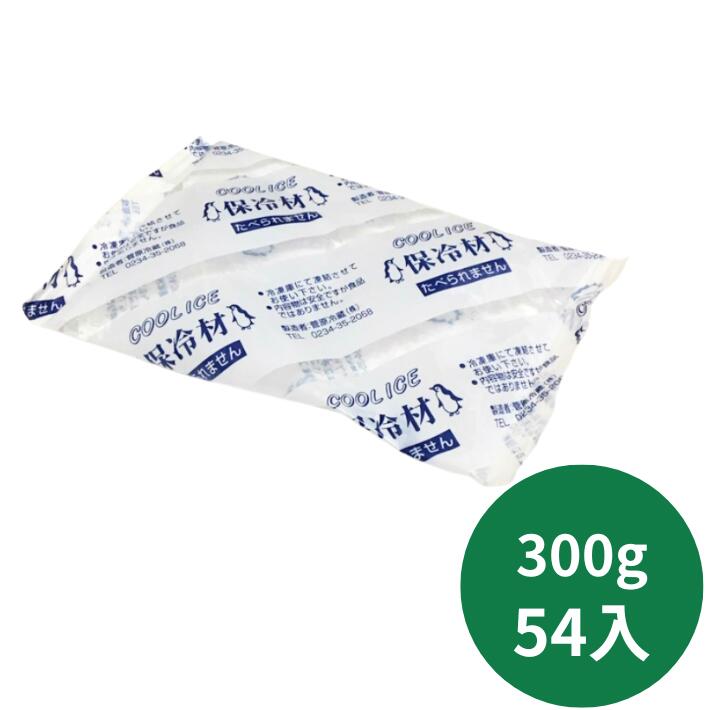 【5%OFF】保冷剤 ナイロン CI 300 【54入】 120×190mm 菅原冷蔵 保冷 冷凍 蓄冷剤 300g 刺し身用 鮮魚 刺身 アイス テイクアウト 鮮度 仕出し 料理 生もの 切り身 輸送 発送 贈答 1