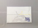 のし紙 半紙判 2-245 【100枚】 縦224×横340mm ササガワ タカ印 材質 紙 のし 紙 贈答 ギフト 贈り物 熨斗 仏事 法事 京 特厚 一般祝...