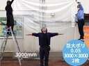 特大 超特大 ポリ袋 【小分け】 特大 ポリ袋 0.05×3000×3000mm【2枚】 大きい 巨大 ビニール袋 大型 巨大ポリ オリジナル 透明 厚手 梱包...