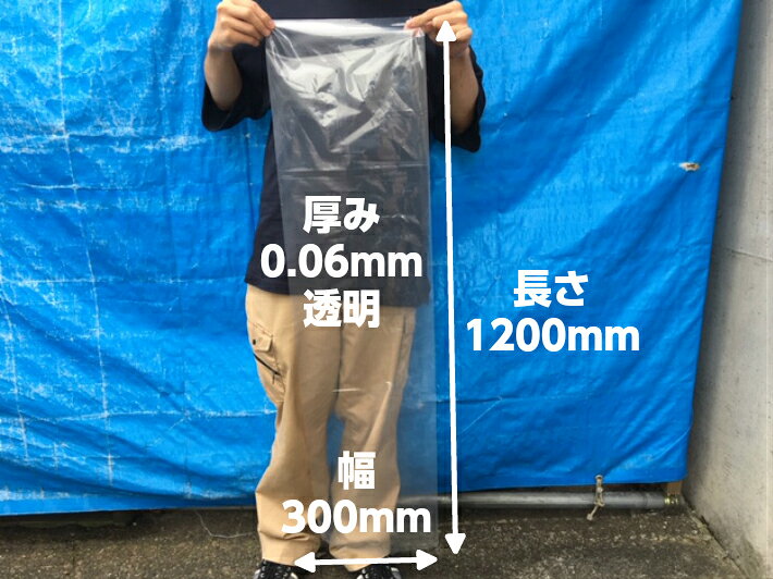 【5%OFF】小分けオリジナル ポリ袋 0.06×300×1200mm【10枚】【ゆうパケット2袋まで】 長物 ポリ 厚手 透明 新巻鮭 新巻 鮭 冷凍保存 保存 ネギ ゴボウ 長人参 農家 土付きねぎ 長ネギ 漁業 土ごぼう 0.06 300×1200 日本製