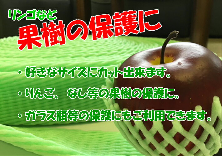 フルーツキャップ 緑 【ロール状】【20M巻】(領収書対応可能） 果物 緩衝材 保護材...