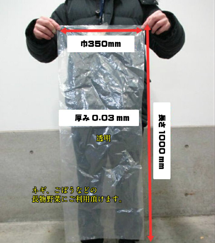 サンキョウプラテック レジ袋 厚手 西25号/東8号 半透明 100枚入×120冊 RH-25（送料無料 代引不可）