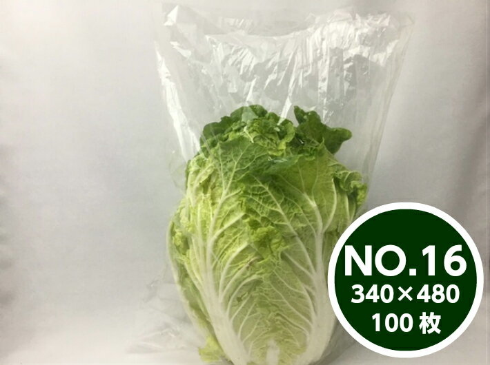ڥꥸʥOPPܡɥ#25NO.160.025340480mm4ۡ100ۡʥץޡʤˡμбǽ޽вOPPܡɥ