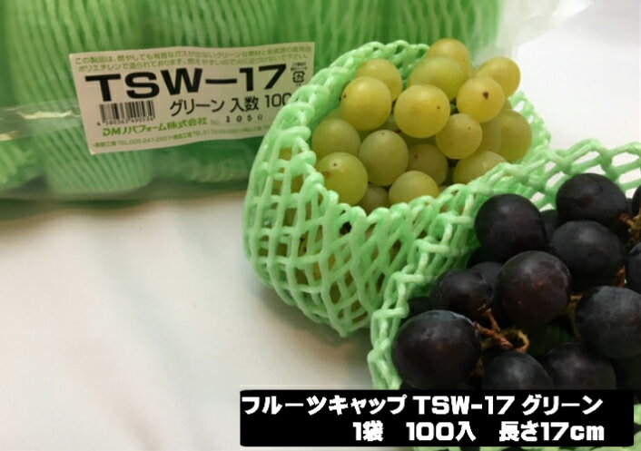 バイオ フルーツキャップ TSW-17 グリーン　緑 【ダブル】 17cm 【100個】 バイオプラスチック 果物 緩衝材 保護材 発泡 ネット マスカット シャインマスカット ぶどう 梨 すいか 西瓜 キャップ フルーツ 網 輸送 衝撃 守る 保護 振動 ピオーネ ぶどう600g