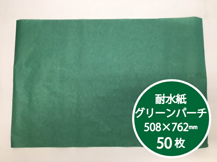 保鮮紙 グリーンパーチ 緑 1/2 508×762
