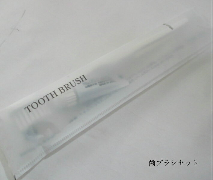 歯ブラシセット（アクセス25穴+3g+マットOP袋）【100個】【アイテック】 歯磨き粉付 歯ブラシ 使い捨て 宿泊 ホテル