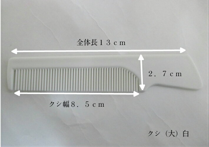 クシ（ 大 ）白 100個 アイテック 平 ブラシ 使い捨て アメニティ 宿泊 ホテル 入浴バスグッズ レジャーホテル 宿泊施設 洗浄・洗体スポンジ ビジネスホテル 銭湯やサウナ