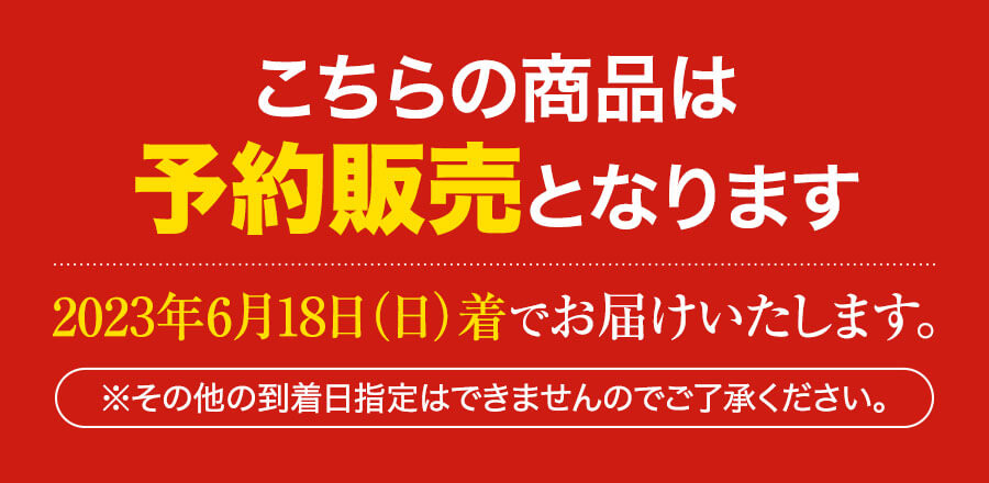 送料無料 お父さんいつもありがとう 父の日ギフトC～厳選セット～ 【2024年6月16日着でお届け】 ／ 福さ屋 明太子 辛子明太子 おつまみ 晩酌 福岡 博多 土産 ギフト 贈り物 父の日 お中元 御中元 お歳暮 【公式ストア】 3