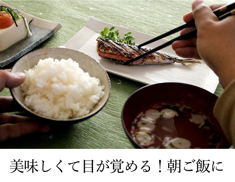 無着色辛子めんたい270g+鰯めんたい4尾times;2セット(博多のうまかセット)公式辛子めんたい福さ屋