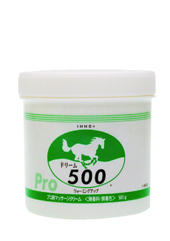 一光化学 ドリーム500 500g 冷感マッサージジェル