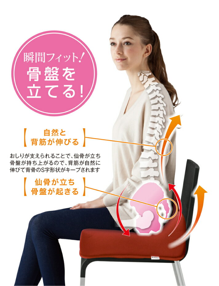 MOGU(R) スワッテ瞬間美姿勢フィット ビーズクッション