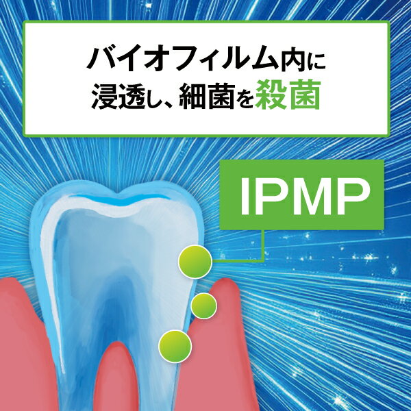 ��ǥ����륯��եȥ� ������� �ץ�٥�ȡ����� ���Υϥߥ���