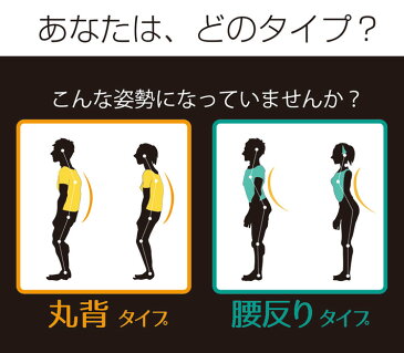 サポーター 姿勢 良姿勢 背中 肩 肩甲骨インナー テレワーク　在宅勤務【宅急便 送料無料】 メーカー直販サイト DAIYA FACTORY DARWINGセレクト（ダーウィンセレクト）上半身のみ Mサイズ 丸背タイプ/腰反りタイプ・女性用/男性用 ダイヤ工業