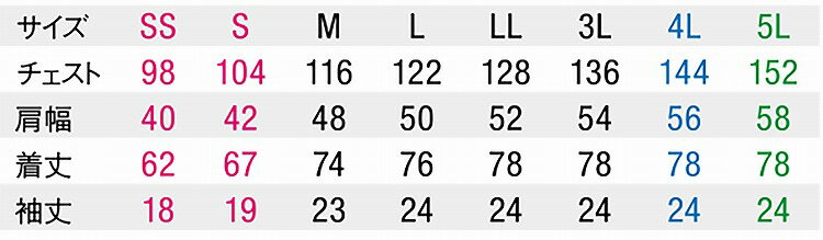 Selery 63403 Sシャツ SS S M L LL 3L【オールシーズン対応 小さめサイズ 普通サイズ 大きめサイズ オフィス 事務服 セロリー 】