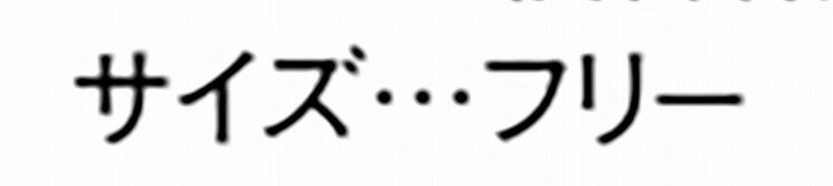 Selery 69310 ポーチ SS 【オールシーズン対応 オフィス 事務服 セロリー 】