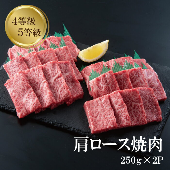 【5倍 ポイントアップ】母の日 肩ロース 焼肉 250g × 2 計 500g カルビ 国産黒毛和牛 バーベキュー 肉 4等級 5等級 ギフト プレゼント 冷凍 お取り寄せ