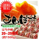 【送料無料】 はちや柿のあんぽ柿 (約1,500g)
