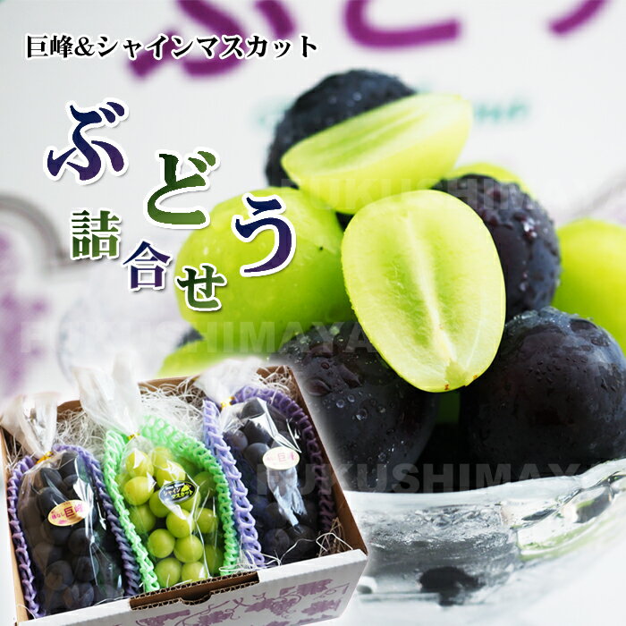 【9/1 10:00～枚数限定クーポンで15%オフ！】福島県産 ぶどう 詰合せ 約1.5kg 種なし たっぷり 【発送時期：9月後半頃〜10月中旬頃まで予定】のサムネイル