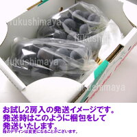 【送料無料】【お試しセット】福島県産の巨峰(2房入)