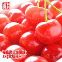 さくらんぼ 佐藤錦 約1kg【発送時期:6月中旬頃〜6月下旬頃まで予定】 福島 フルーツ 果物 ギフト プレゼント 贈答 送料無料 手詰め 化粧箱入 御祝 内祝...