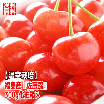 母の日 さくらんぼ 佐藤錦【温室栽培】【送料無料】さくらんぼ(佐藤錦)300g 贈答向けの手詰化粧箱入 母の日 あす楽対応 ハウス栽培 ミニ造花カーネーション付