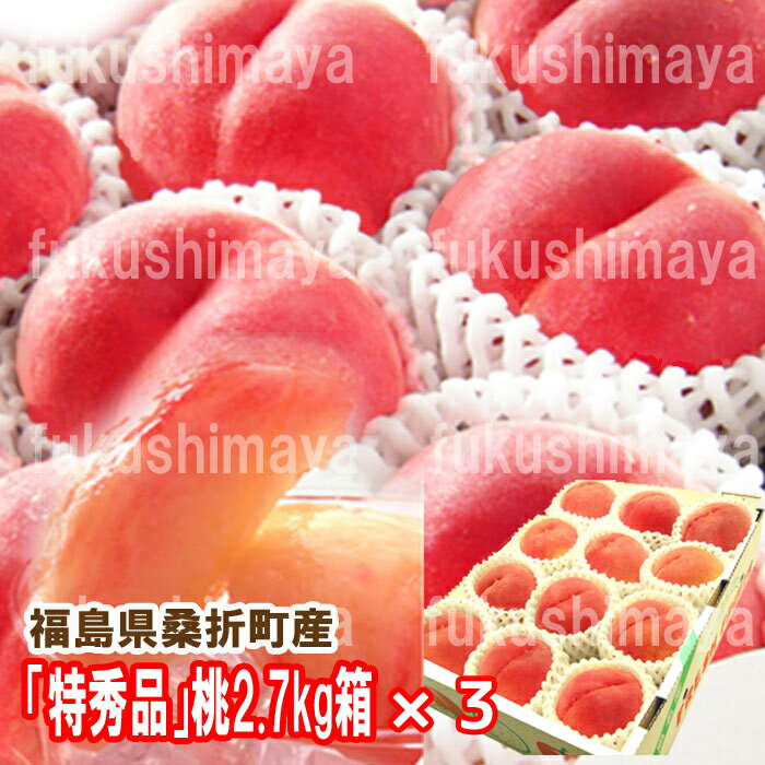 桃 特秀品桃 2.7kg箱×3セット 1箱 7〜15玉入 献上桃の郷 福島県 桑折町産 2024年予約 福島 もも モモ ご家庭用【発送期間:7月上旬以降頃-9月中旬頃まで予定】のサムネイル