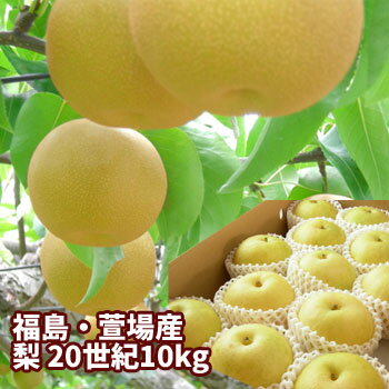 20世紀 梨 なし 約10kg(18〜36玉入)【発送時期:9月上旬頃〜9月下旬頃まで予定】 福島 かやば 萱場 フルーツ 果物 ギフト プレゼント 贈答 送料無料 御祝 内祝 手土産 お取り寄せ グルメ