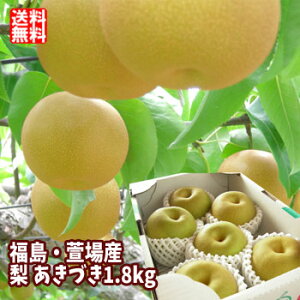 【福島の梨】福島県産の美味しい梨をお取り寄せしたいです。おすすめは？