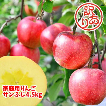 【クーポン利用で20％オフ】【あす楽対応】福島県産『サンふじ』りんご、4.5kg箱(12〜25玉入)。訳ありご家庭用リンゴ。大きさ不揃い・傷…でも味は一級品