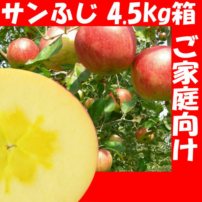 【クーポン利用で20%オフ】【あす楽対応】 福島県産 サンふじ りんご 4.5kg箱 (12〜25玉入) 訳あり ご家庭用 リンゴ 大きさ 不揃い 傷 訳ありリンゴ 蜜入 お得 お歳暮 傷あり キズあり おいしい