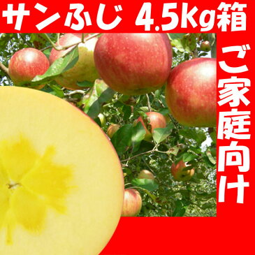 【あす楽対応】 福島県産 サンふじ りんご 4.5kg箱 (12〜25玉入) 訳あり ご家庭用 リンゴ 大きさ 不揃い 傷 訳ありリンゴ 蜜入 お得 お歳暮 傷あり キズあり おいしい