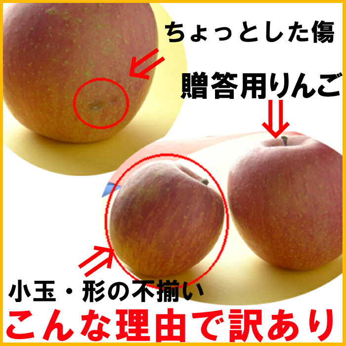 【クーポン利用で20％オフ】【あす楽対応】福島県産『サンふじ』りんご、4.5kg箱(12〜25玉入)。訳ありご家庭用リンゴ。大きさ不揃い・傷…でも味は一級品