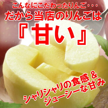 【あす楽対応】 福島県産 サンふじ りんご 4.5kg箱 (12〜25玉入) 訳あり ご家庭用 リンゴ 大きさ 不揃い ・ 傷 …でも味は一級品