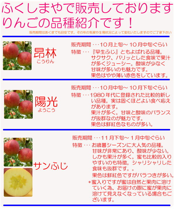 【9/2 10:00～クーポン利用で30％オフ】福島県産 りんご 陽光 10kg箱(20〜36玉入)。5人以上向けのサイズ 【発送：10月中旬頃〜11月上旬頃まで予定】