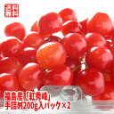 さくらんぼ 紅秀峰 約400g(200g×2パック)【発送時期:6月下旬〜7月初旬頃まで予定】 福島 フルーツ 果物 ギフト プレゼント 贈答 送料無料 手詰め...