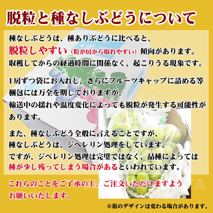 シャインマスカット2房約1kg【発送時期:9月後半頃-11月中旬頃まで予定】皮ごと食べられる送料無料産地直送福島産ぶどう種なしぶどうブドウ果物フルーツギフト