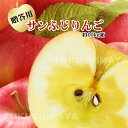 サンふじ りんご 約10kg(18〜36玉入)【発送時期:11月下旬頃〜1月中旬頃まで予定】福島 リンゴ 蜜 フルーツ 果物 ギフト プレゼント 贈答 送料無料...