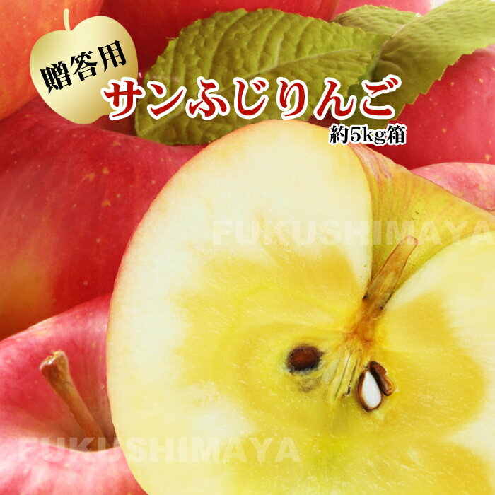 【エントリーでポイント10倍】福島県産 サンふじ 約5kg箱 9〜18玉入 4〜5人向けの贈答向けサイズ りんご リンゴ【発送時期：11月下旬頃〜1月中旬頃】
