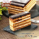 オペラケーキ 【送料無料】【冷凍便】オペラ（700g） チョコレート ケーキ スイーツ 濃厚 上品 大人 コーヒー エスプレッソ ラバッツァ ほろ苦い フランス ギフト プレゼント おうち時間 おうちカフェ ケーキ家Piggy 母の日